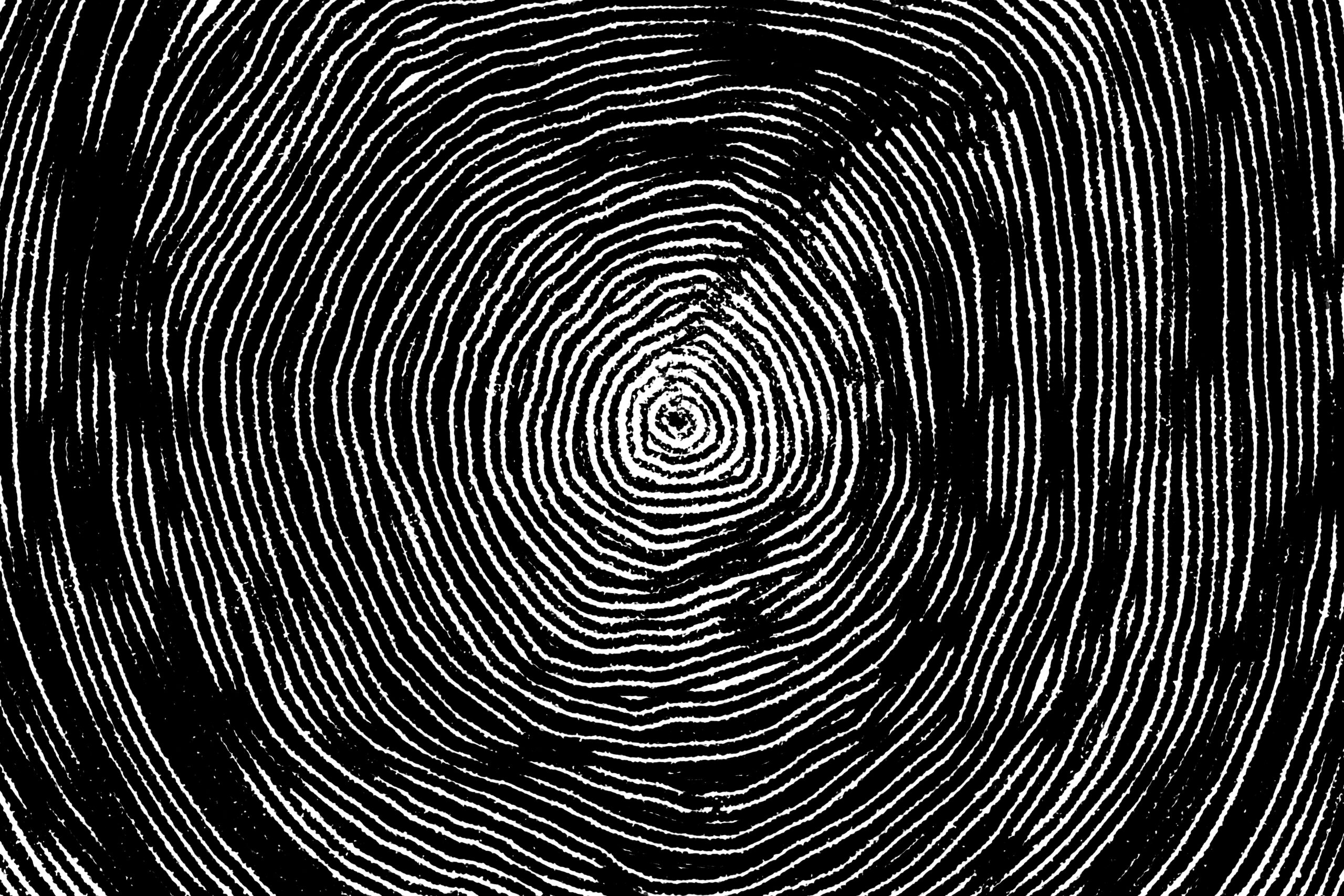Illustration of Sequoia tree rings